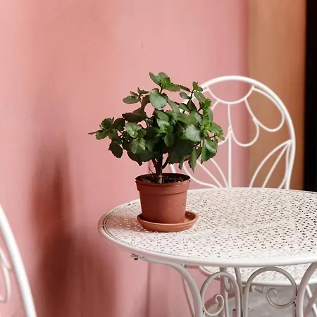 Apartamento Il Balcone Della Corte - Downtown